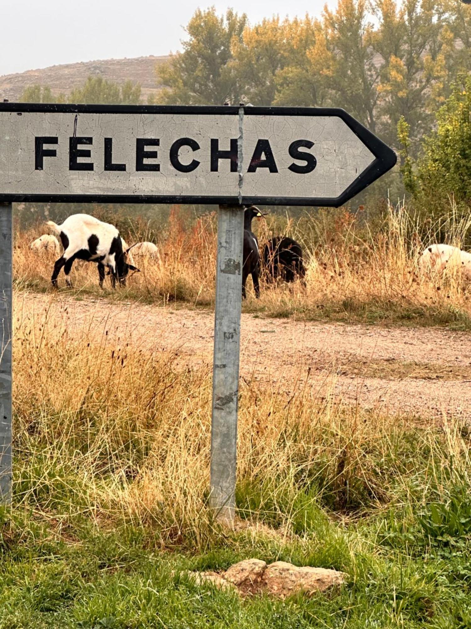 Los Tres Horreos Felechas ภายนอก รูปภาพ